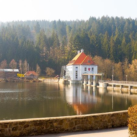 Ferienhaus Nr 15, Typ A, Feriendorf Jaegerpark, Bayerischer Wald Villa Viechtach Ngoại thất bức ảnh