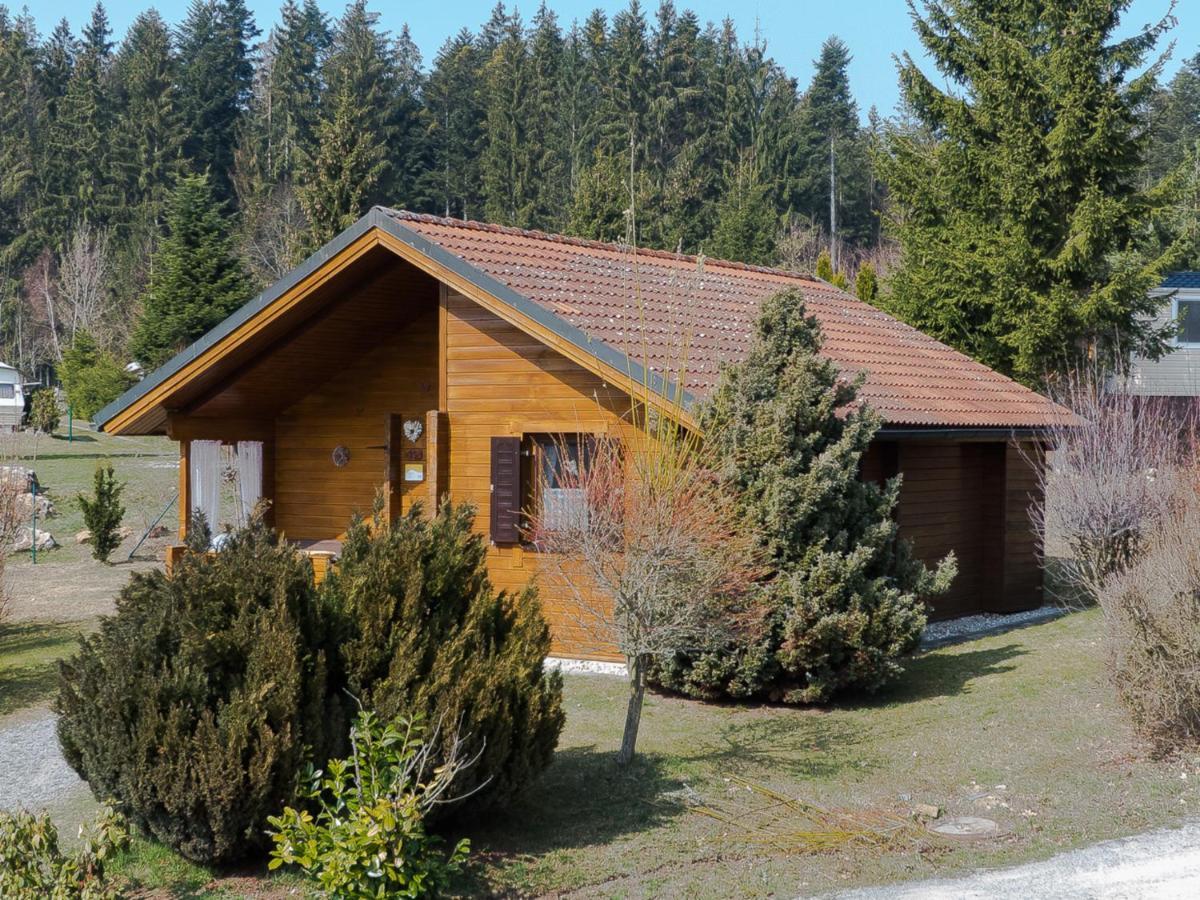 Ferienhaus Nr 15, Typ A, Feriendorf Jaegerpark, Bayerischer Wald Villa Viechtach Ngoại thất bức ảnh