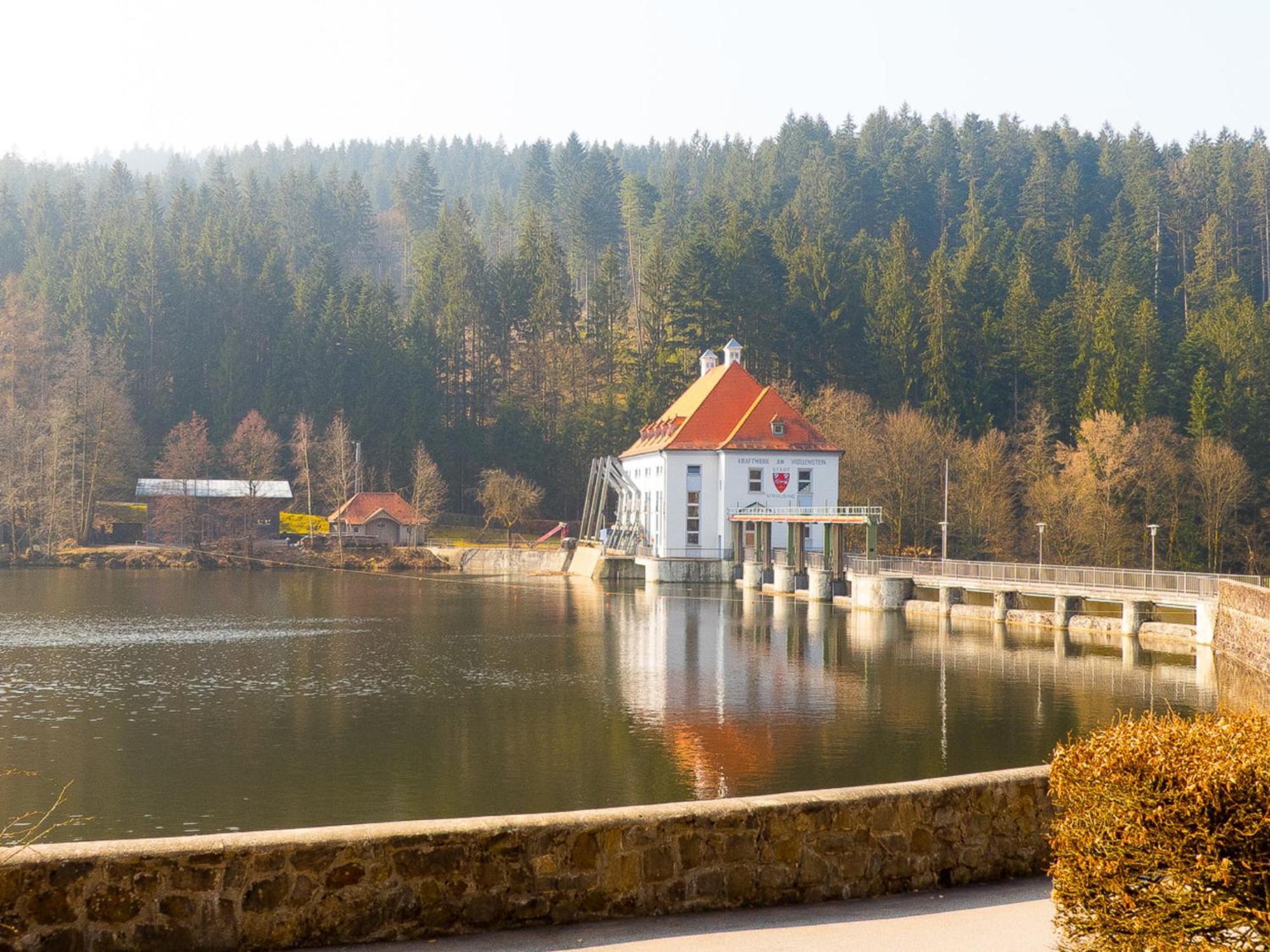 Ferienhaus Nr 15, Typ A, Feriendorf Jaegerpark, Bayerischer Wald Villa Viechtach Ngoại thất bức ảnh